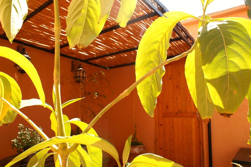 ورزازات Maison D'Hotes Dar El Nath المظهر الخارجي الصورة