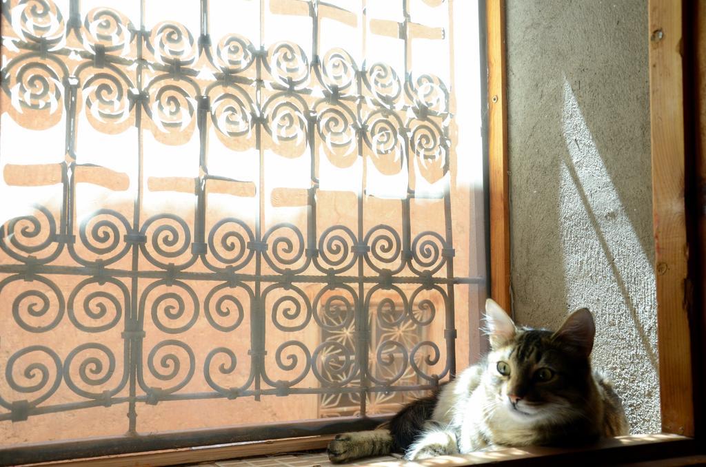 ورزازات Maison D'Hotes Dar El Nath المظهر الخارجي الصورة