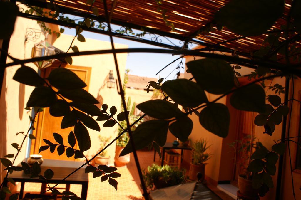 ورزازات Maison D'Hotes Dar El Nath المظهر الخارجي الصورة